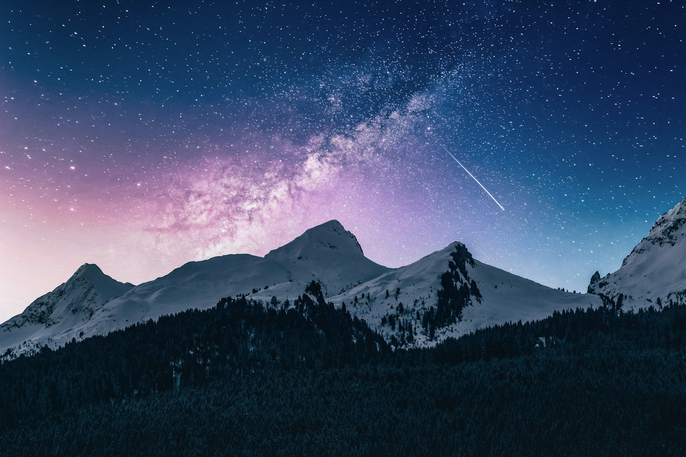 Digital Life — illustrative photograph