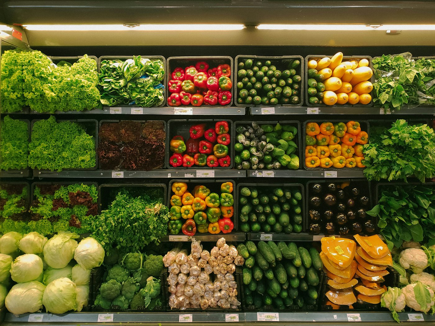 Fresh vegetables arranged on grocery shelves