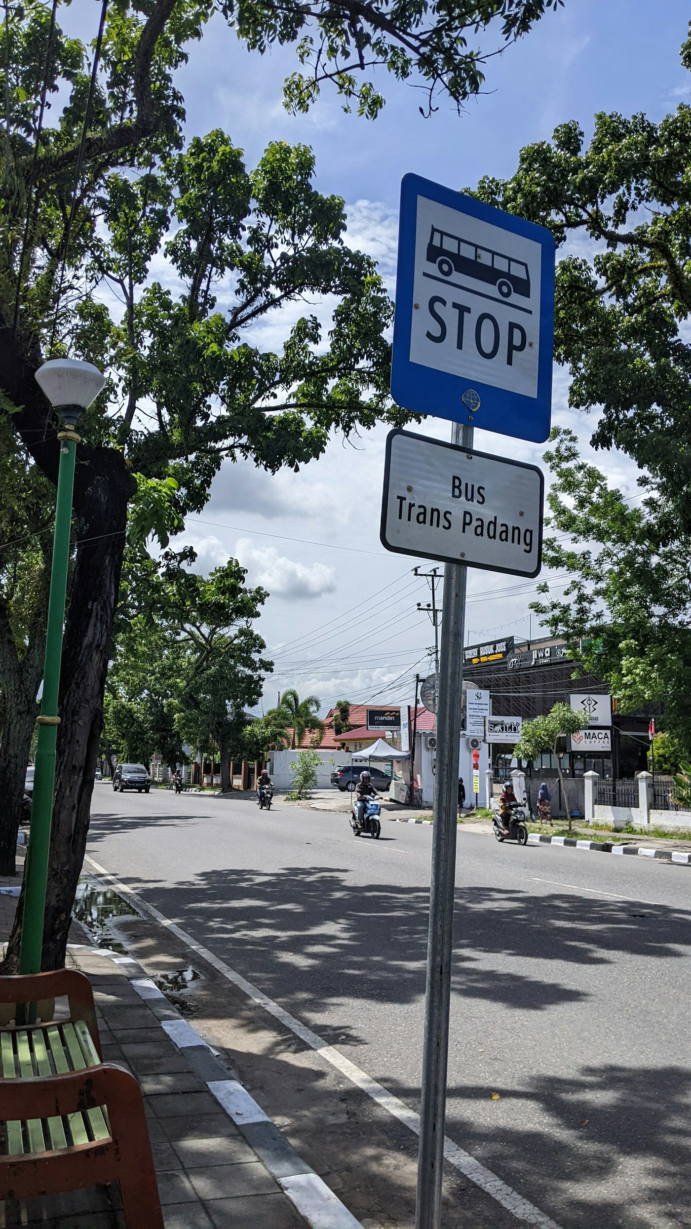 A blue bus stop sign beside a leafy roadside