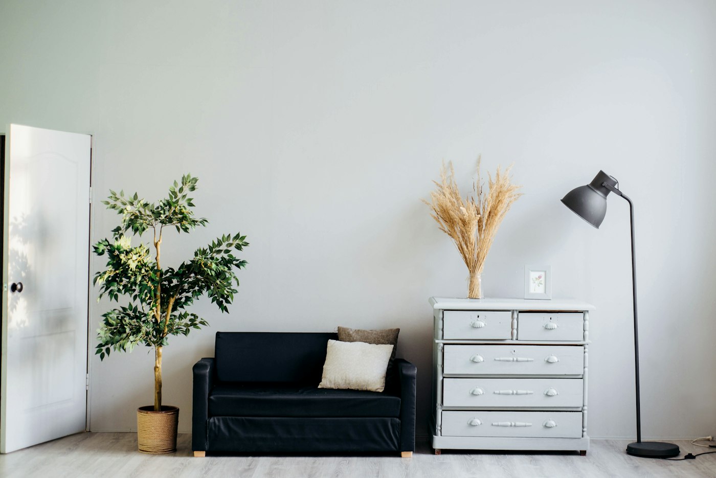 A simply furnished room with a sofa, plants and open space
